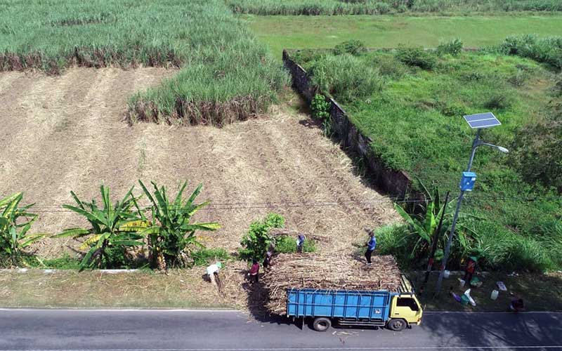  Asosiasi Petani Tebu Rakyat Indonesia Minta Pemerintah Kaji Ulang Rencana Pengenaan PPN Sembako