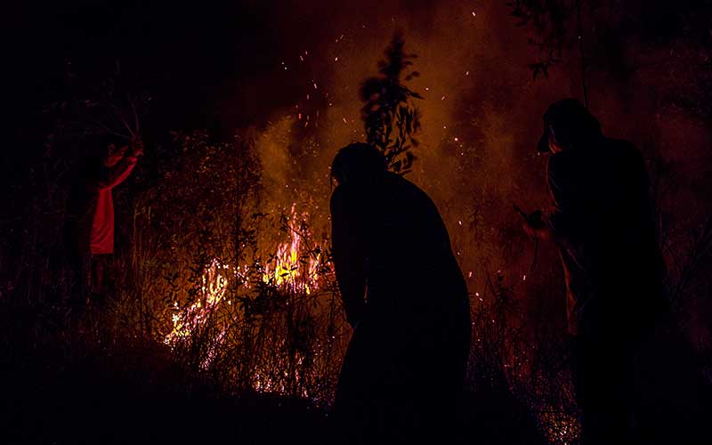  Kebakaran Lahan di Ogan Ilir Sumatra Selatan