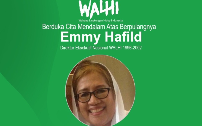  Politisi Nasdem dan Pegiat Lingkungan, Emmy Hafild Meninggal Dunia