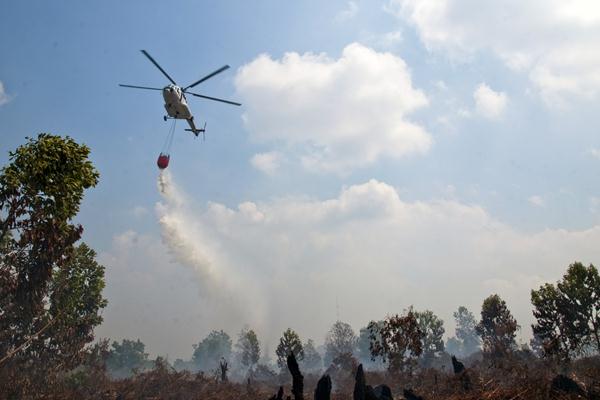  5 Helikopter Lakukan Pemadaman Karhutla di Riau