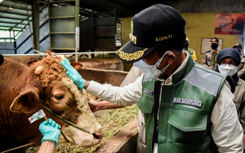  PPKM Darurat Dilanjut, Bupati Bandung Minta Pemotongan Hewan Kurban di RPH