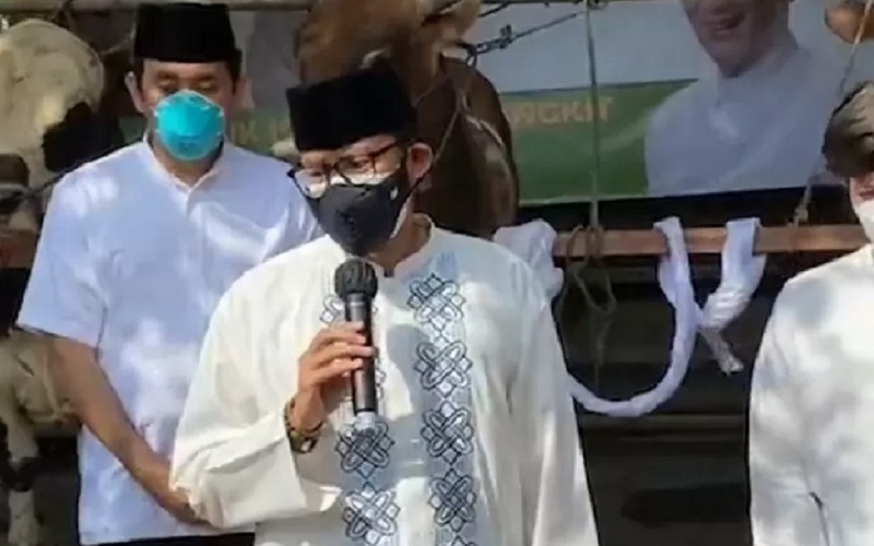  Iduladha, Sandiaga Uno Berbagi 1.000 Hewan Kurban