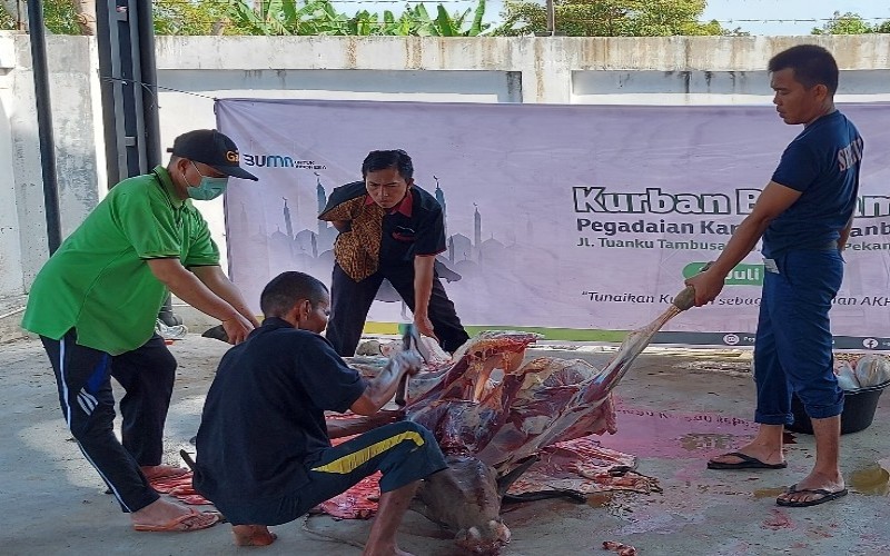  Iduladha 2021, Pegadaian Kanwil Pekanbaru Potong 5 Ekor Sapi