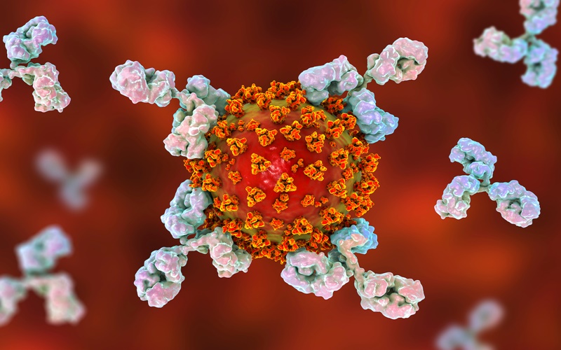  Studi Thailand Bandingkan Antibodi yang Dihasilkan CoronaVac dan Pasca Infeksi Covid-19