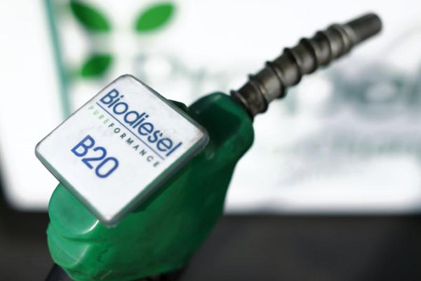 Ilustrasi bahan bakar Biodiesel B20/Reuters-Mike Blake