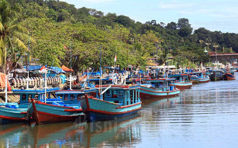  Genjot Produksi Ikan Tuna, Pemkot Padang Siapkan Anggaran Modifikasi Kapal