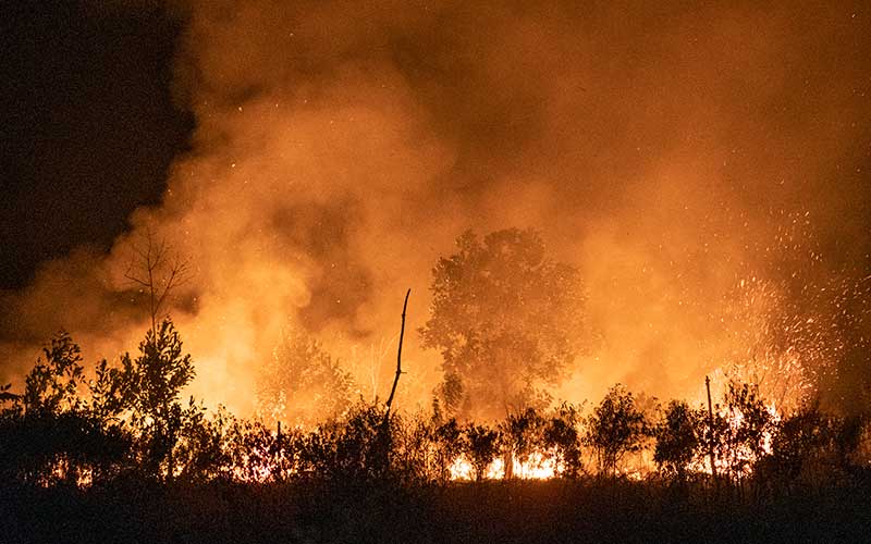  Petugas Gabungan Masih Berusaha Memadamkan Kebakaran Lahan di Sumatra Selatan