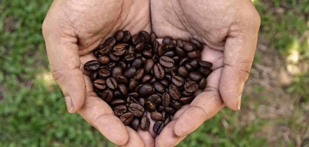  Harga Kopi Global Meroket, Indonesia Terpengaruh?