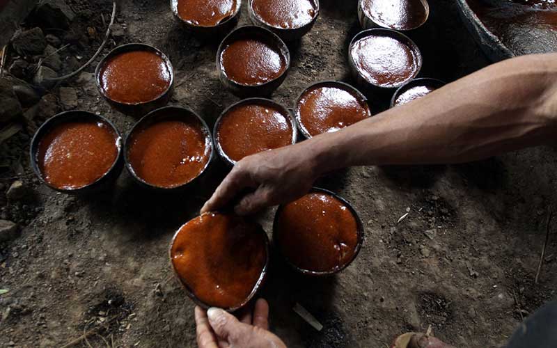  Pembuatan Gula Merah Dari Pohon Aren