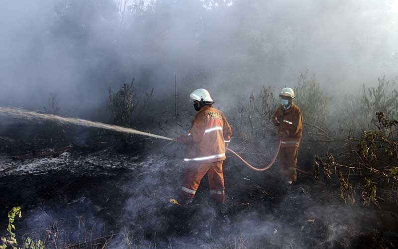  Kebakaran Lahan Gambut di Pontianak