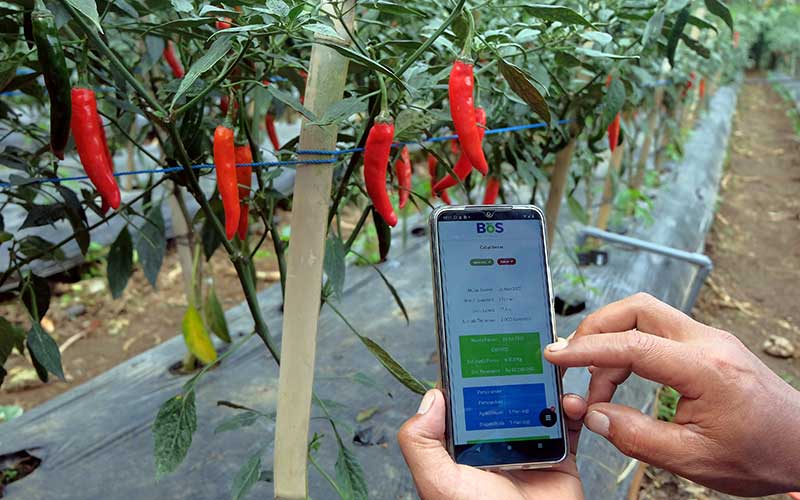  Petani di Bali Memanfaatkan Digitalisasi IoT Untuk Bertani