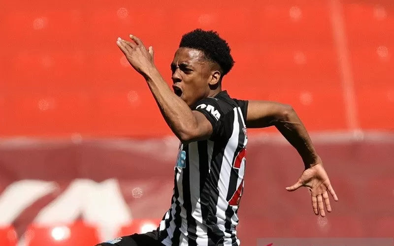  Beli Joe Willock dari Arsenal, Newcastle Keluar Duit Rp500 Miliar Lebih