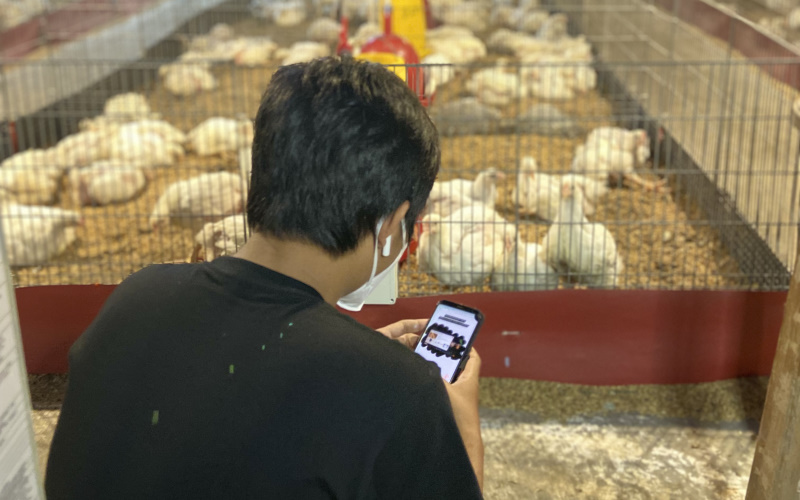  Perkenalkan BroilerX, Sistem Pendeteksi Kandang Ayam Berbasis IoT