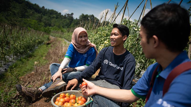  Fintech TaniFund Resmi Kantongi Izin dari OJK