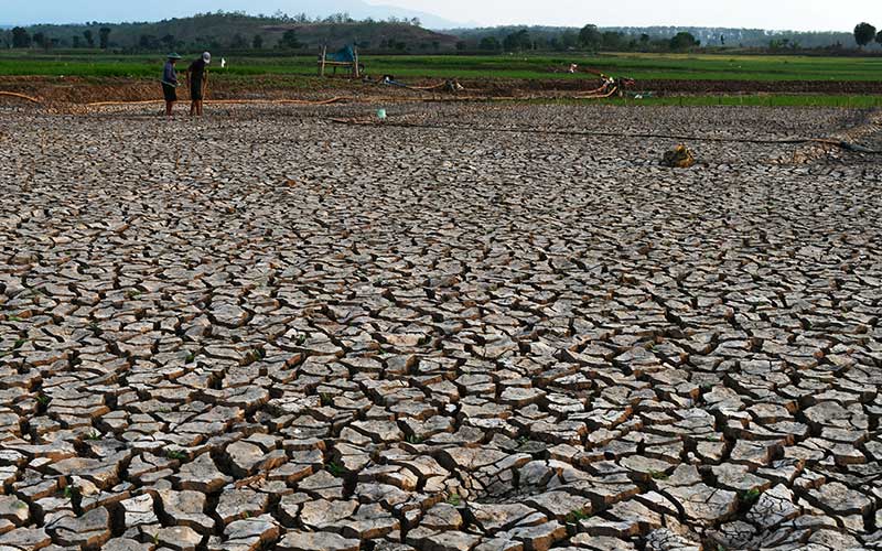  Waduk Dawuhan di Kabupaten Madiun Mengering Akibat Musim Kemarau