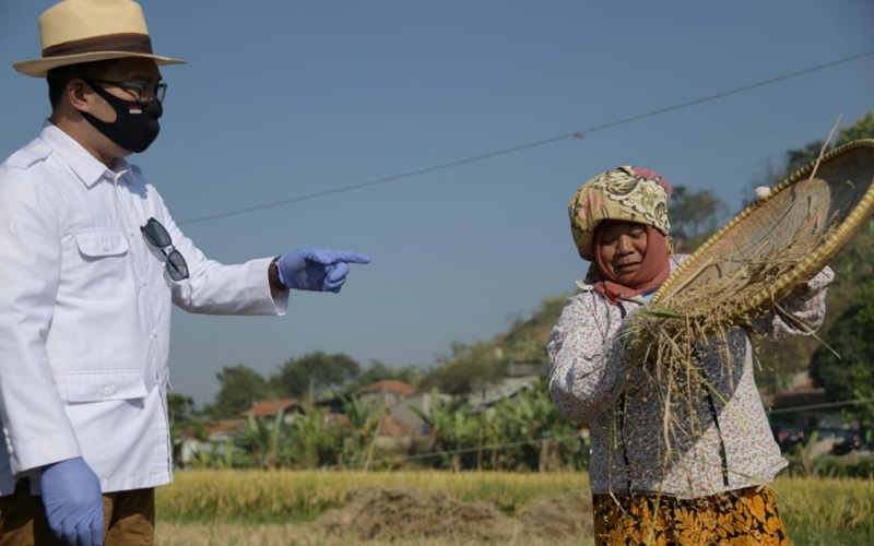  Ridwan Kamil Sambut Baik Gerakan Pangan Mandiri