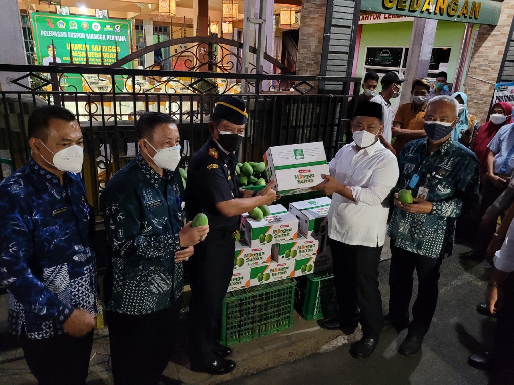  Berkat Peran Aktif Bea Cukai Dorong Ekspor, Makin Banyak Produk Dalam Negeri Rambah Pasar Internasional