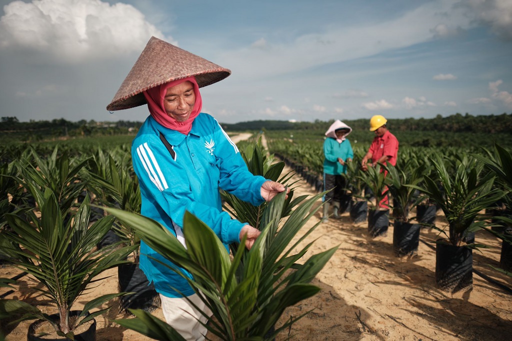  Pentingnya Keberlanjutan dalam Industri Sawit, Apical dan Asian Agri Edukasi Generasi Muda di Summer Course IPB University