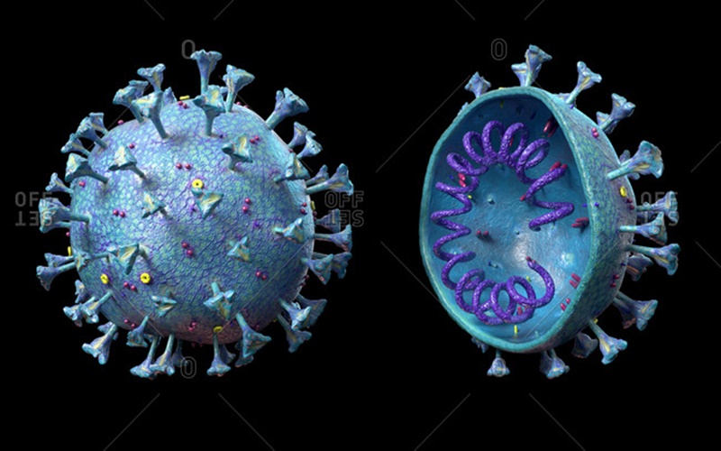  Hati-Hati! Booster Vaksin Covid-19 Campuran Menggertak Karakter Virus Corona