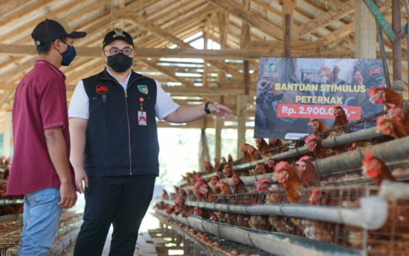  Pemkab Kediri Cairkan Bantuan Uang Tunai Peternak Ayam Rp5,5 Miliar