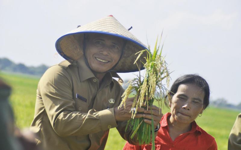  FOOD ESTATE : Asa Sumsel Jadi Penyangga Pangan Nasional