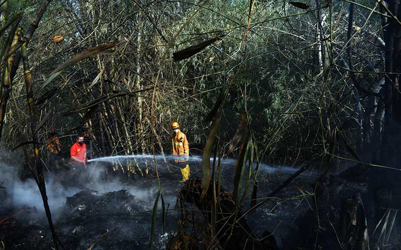  Api Membakar Lahan Yang Dekat Permukiman Warga di Madiun Jawa Timur