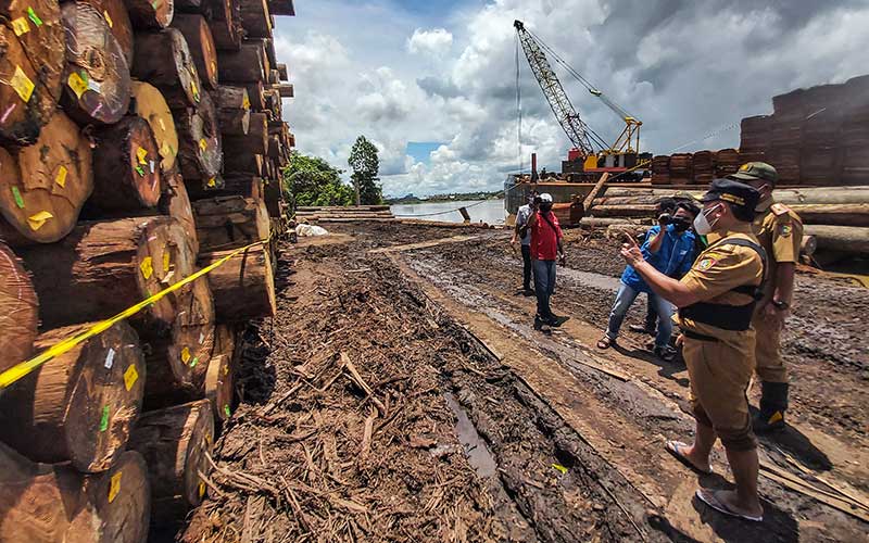  Pemprov Kalteng Menyegel Ribuan Kayu Log Yang Diduga Ilegal