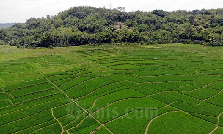  Banyumas Bakal Buka Pariwisata Meski Masih PPKM Level 3