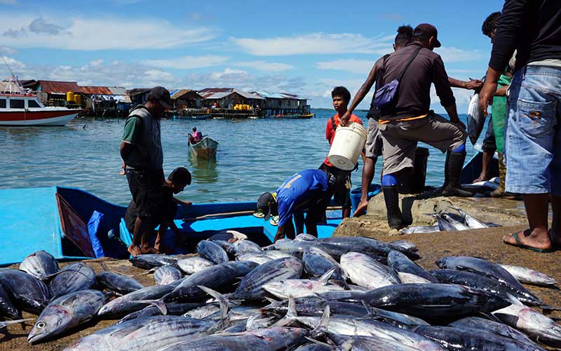  Pemerintah Berencana Mengembangankan Agromaritim Berbasis Teknologi