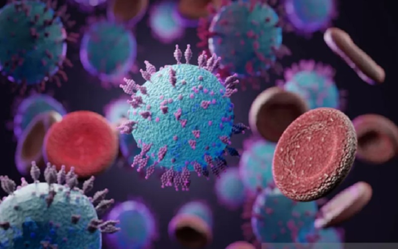 Ilustrasi - Virus Corona makro dan varian MU (VOI),B.1.621,B.1.617.1,C.37.Covid-19 Delta plus, varian MU. Virus SARS-CoV-2 bermutasi./Antara