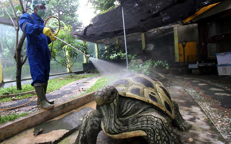  PPKM Level 3, Taman Mini Indonesia Mulai Dibuka Hari Ini 