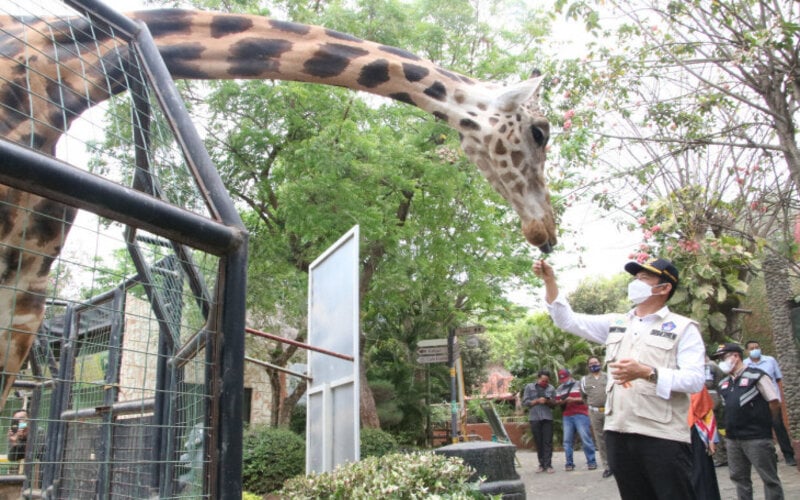 Bupati Lamongan, Yuhronur Efendi meninjau lokasi wisata Maharani Zoo dan Goa Lamongan jelang dibukanya sejumlah tempat wisata menyusul assement Kementerian Kesehatan yang menunjukkan wilayah itu level 1./Antara-Humas Pemkab Lamongan