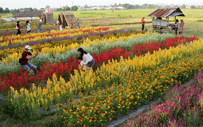  Tempat Pariwisata Mulai Ramai Dikunjungi Warga