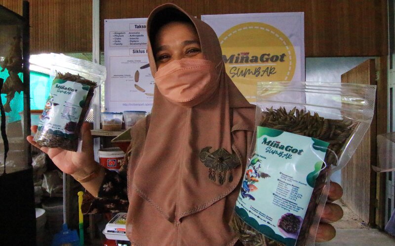  Koperasi Siap Tampung Produksi Maggot di Sumbar