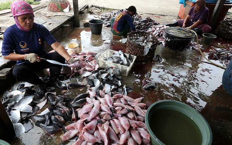  Tingkatkan Kesejahteraan Nelayan, Hasil Tangkapan Diolah Dijadikan Produk UMKM