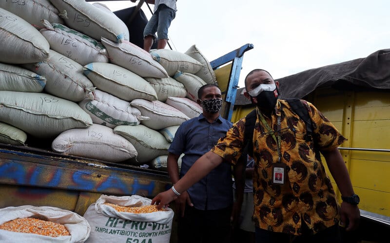  Selain Harga Jagung, Ini Problem yang Dihadapi Peternak Ayam Petelur