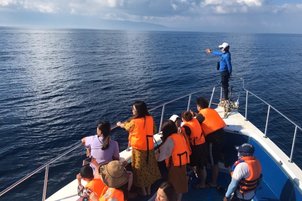  Bali Godok Sumber Pendapatan Baru, dari Retribusi Parkir Yacht Sampai Izin Trayek Taksi