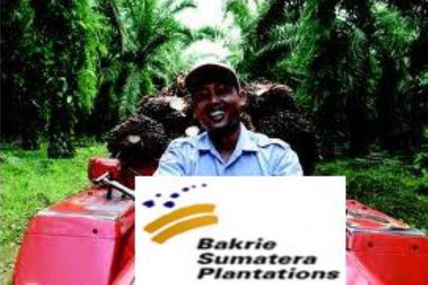 PT Bakrie Sumatera Plantations Tbk (UNSP).