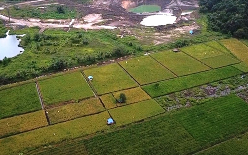  Pertamina Hulu Indonesia Dorong Inovasi untuk Revitaliasasi Lahan Pascatambang