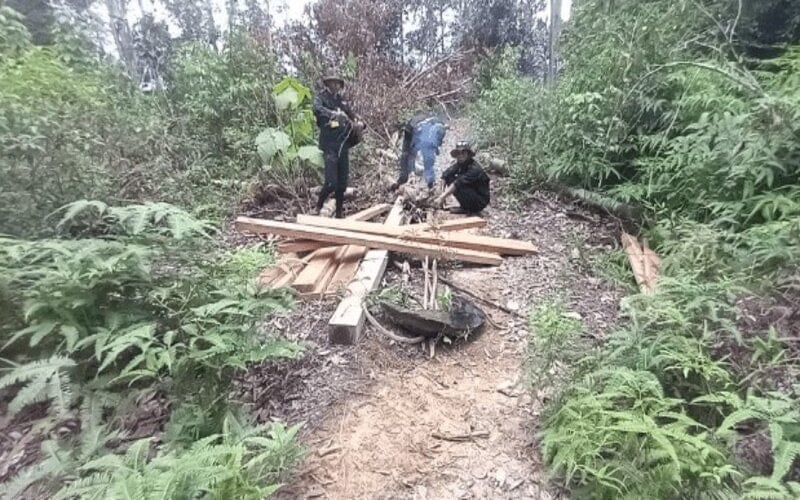  Tangkap Pembalak di Taman Nasional Gunung Leuser, Petugas Diadang Massa