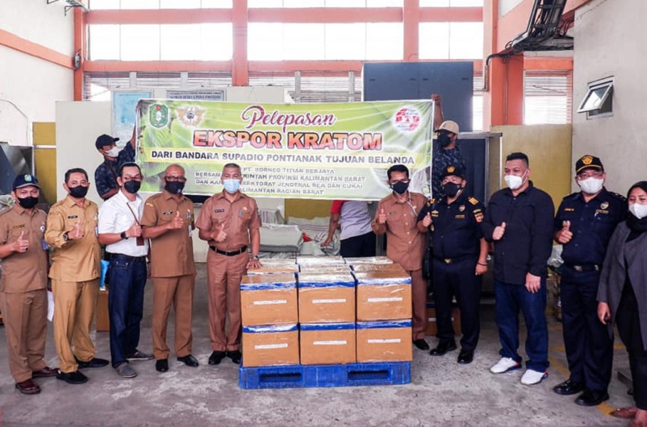  Perdana, Ekspor Tepung Kratom Kalimantan Barat ke Pasar Eropa