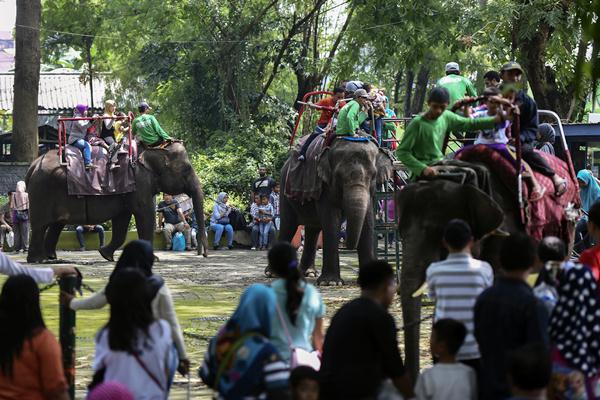  Pemkot Surabaya Siapkan Uji Coba Pembukaan Taman Rekreasi KBS & SNQ