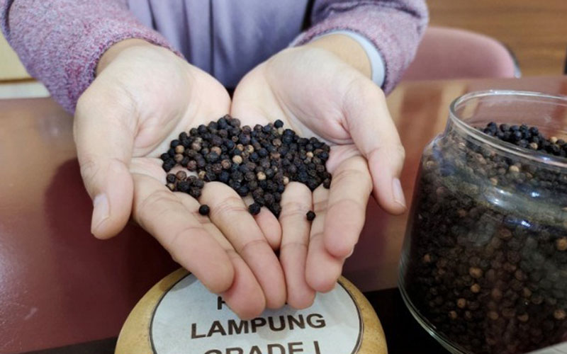  Louis Dreyfus Company Perpanjang Kemitraan Petani Kopi Lampung Barat