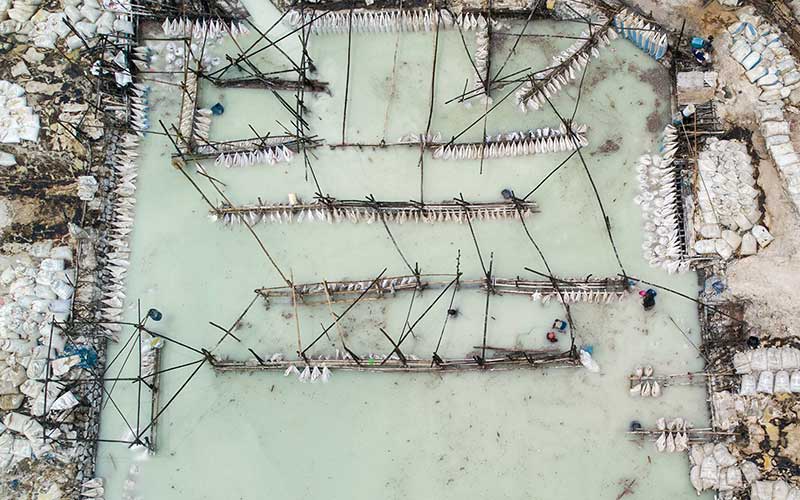  Lahan Pengolahan Limbah Tepung di Jawa Barat