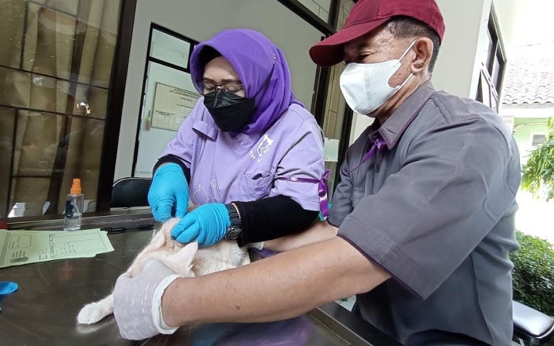  Kabupaten Cirebon Adakan Vaksinasi Rabies Gratis Selama 2 Hari