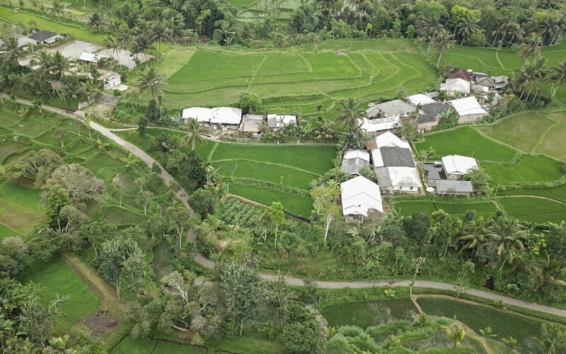 Lombok Utara Andalkan Sektor Pertanian Pulihkan Ekonomi