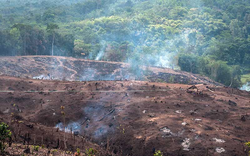  Jelang Musim Tnam, Suku Baduy Gelar Tradisi Ngaduruk
