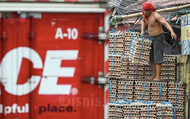  Stabilkan Harga Telur, Pemerintah Akan MembentukIndustri Telur Olahan