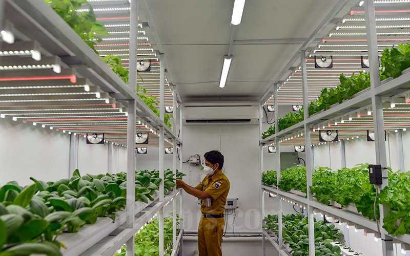  Container Farming Jadi Solusi Lahan Pertanian di Jakarta