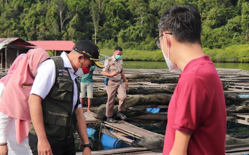  20 Ton Ikan Kerapu Sumbar Kembali Diekspor ke Hongkong